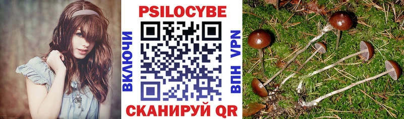 как найти закладки  Кубинка  Псилоцибиновые грибы Psilocybine cubensis 